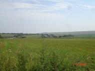 Шишківці з panoramio.com