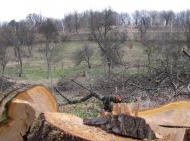 Волуйки з panoramio.com