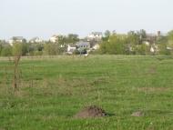 Березна з panoramio.com