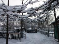 наш поселок