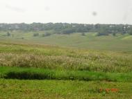 Шишківці з panoramio.com