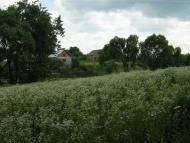 Басівка з panoramio.com