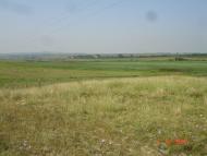 Шишківці з panoramio.com