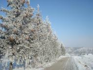 Вороновиця з panoramio.com