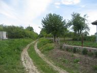 Северинівка