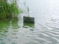 Малечковичі з panoramio.com