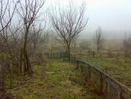 Березна з panoramio.com