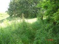 Шишківці з panoramio.com