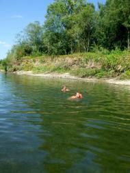 Річка Стрий