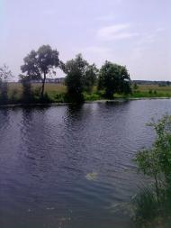 Блистова(фото з інтернету)