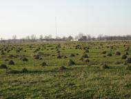 Яруга з panoramio.com