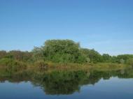 Блистова(фото з інтернету)