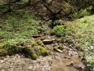 Врублівці з panoramio.com