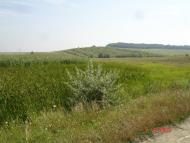 Шишківці з panoramio.com