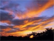 Пирогівці з panoramio.com