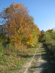 Волуйки з panoramio.com