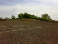 Березна з panoramio.com