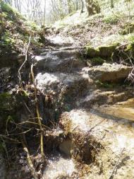 Врублівці з panoramio.com