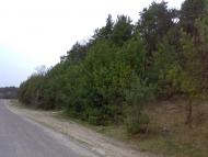 Логвин - Останні фото