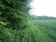 Слобідка з panoramio.com