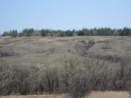 Покровське з panoramio.com