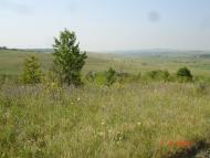 Шишківці з panoramio.com