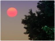 Пирогівці з panoramio.com