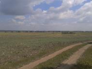 Цикова з panoramio.com