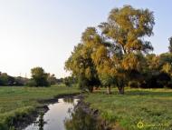 Карнаухівка з panoramio.com - Karnaukhivka