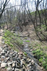 Мінеральне з panoramio.com