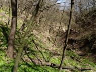 Врублівці з panoramio.com