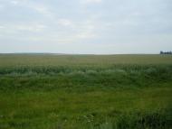 Цикова з panoramio.com