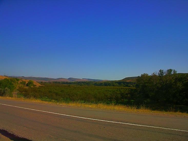 Шевченкове з panoramio.com - Шевченково