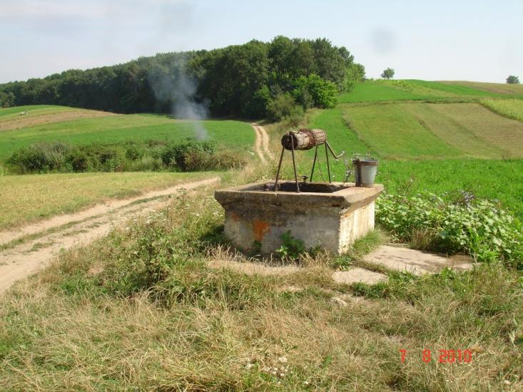 Динівці з panoramio.com - Диновцы