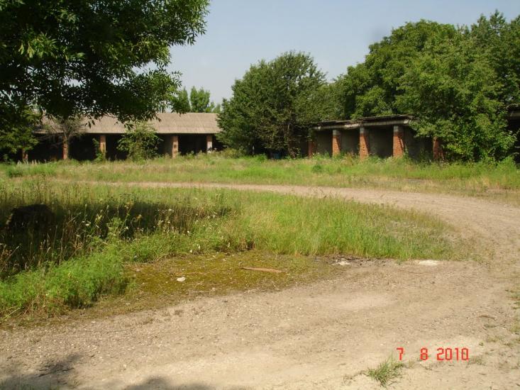 Динівці з panoramio.com - Диновцы