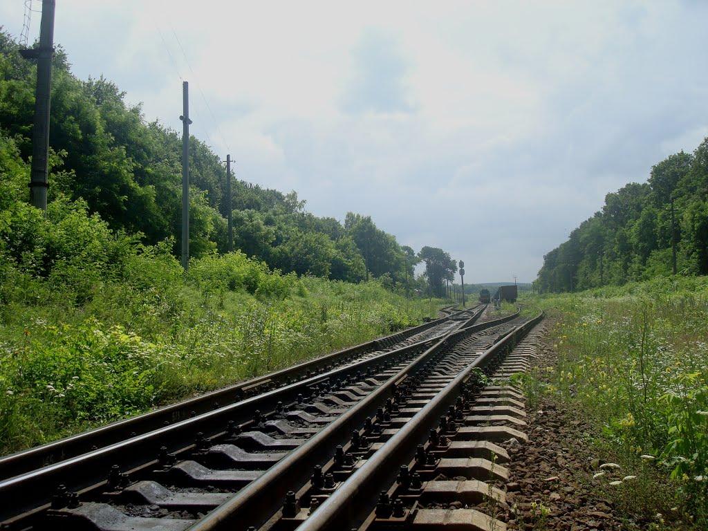 Нігин з panoramio.com - Негин