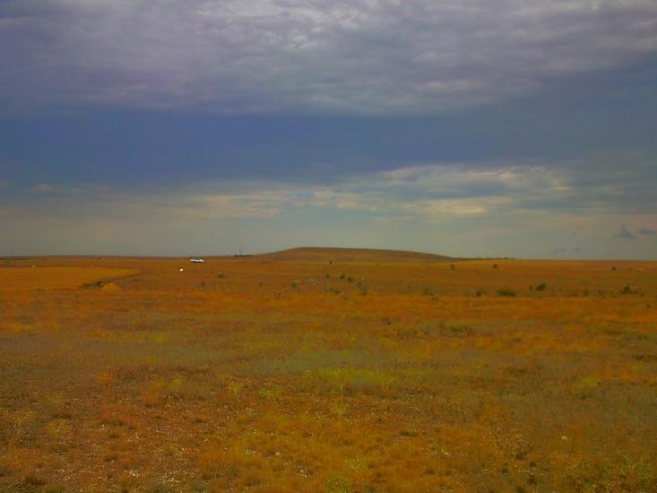 Каштани з panoramio.com - Каштани