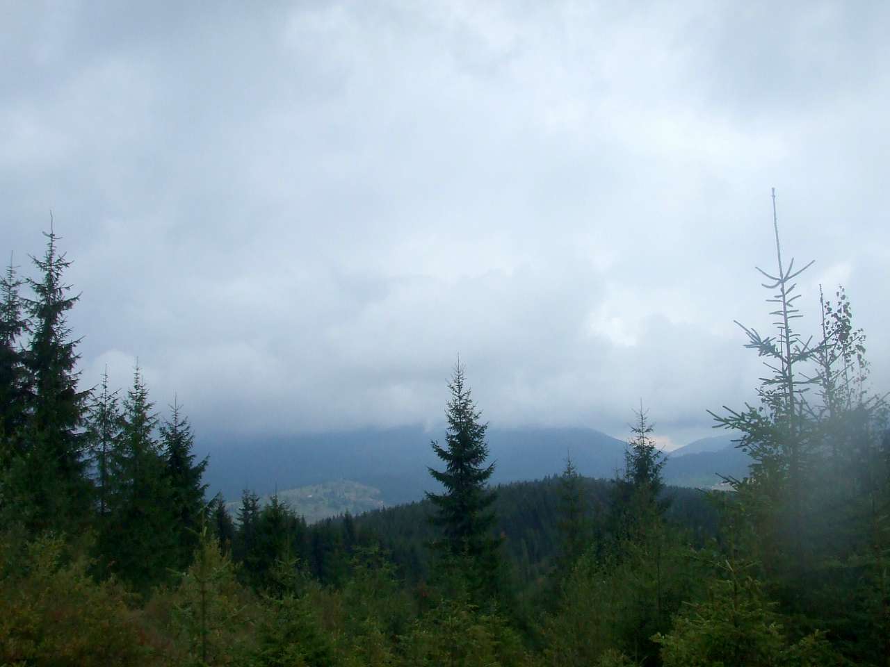 Краєвид - Вышков