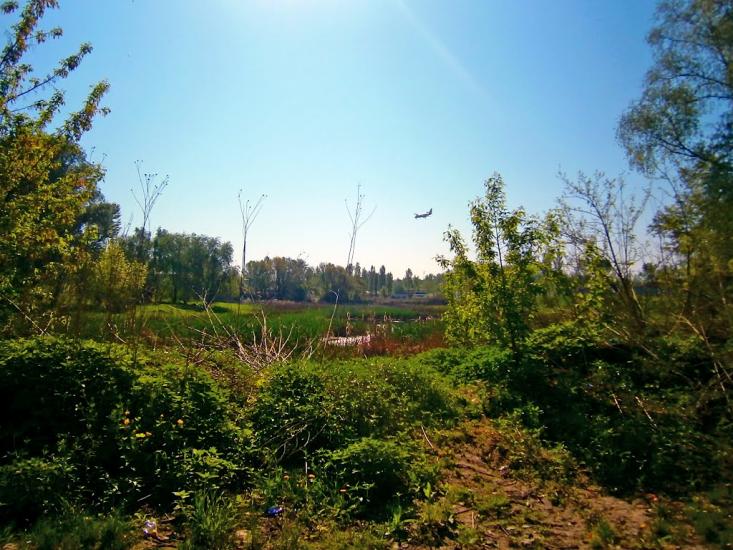 Гатне з panoramio.com - Gatne
