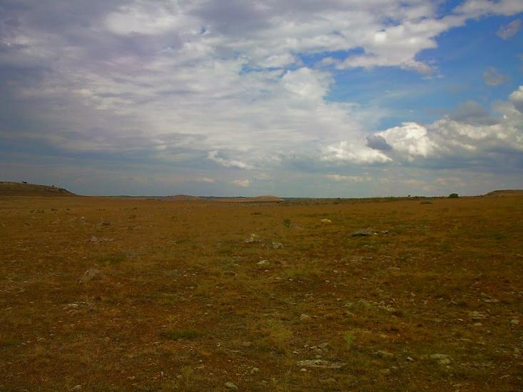 Каштани з panoramio.com - Каштани