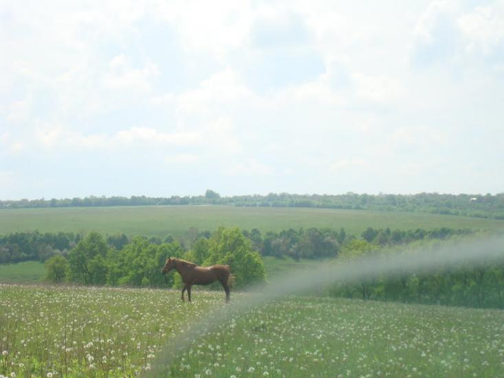 Вільховець з panoramio.com - Ольховец