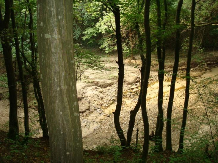 Маціорськ з panoramio.com - Мациорск