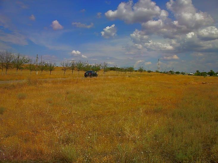 Шевченкове з panoramio.com - Шевченково