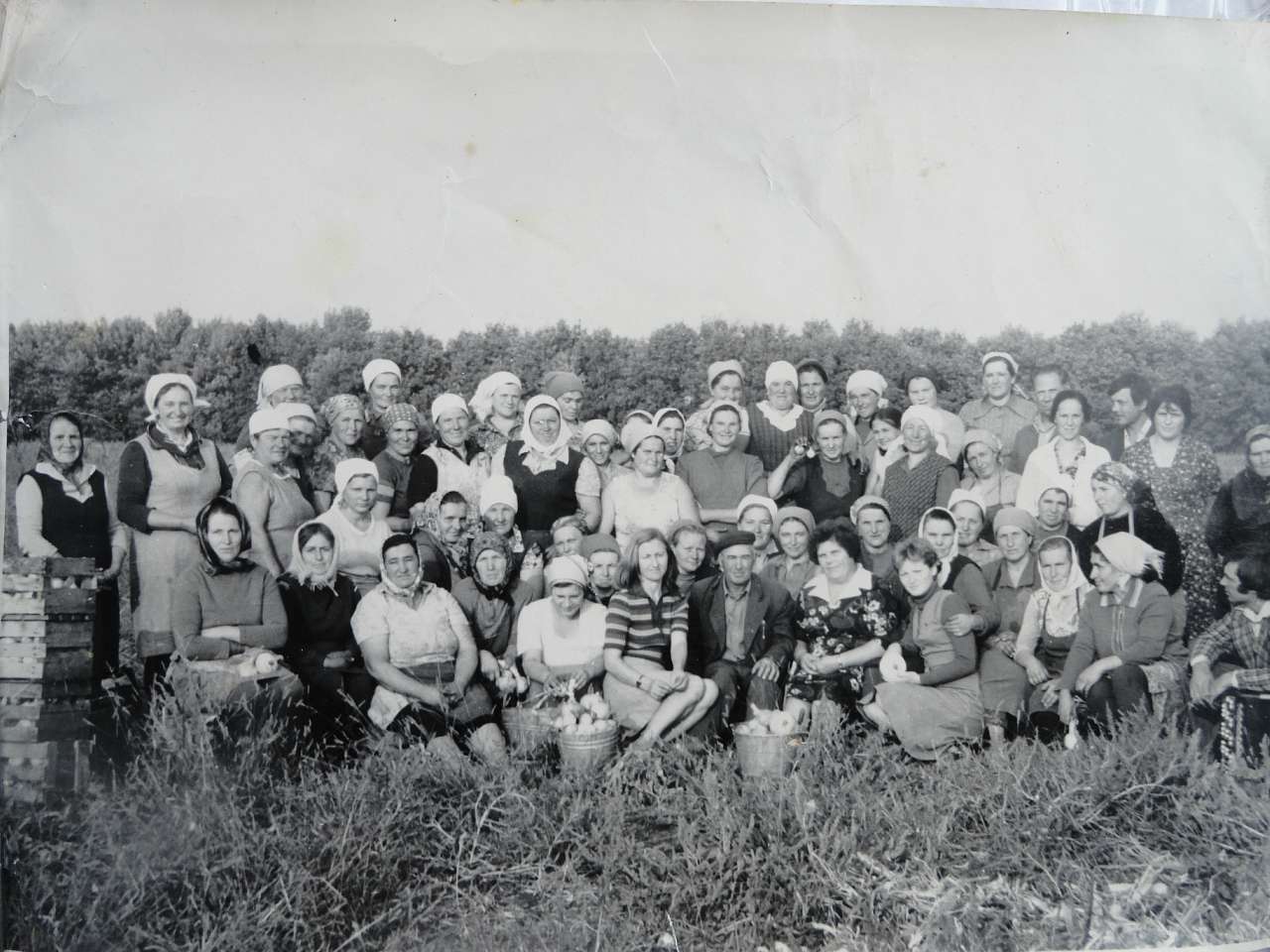 Старі фото - Курячі Лози