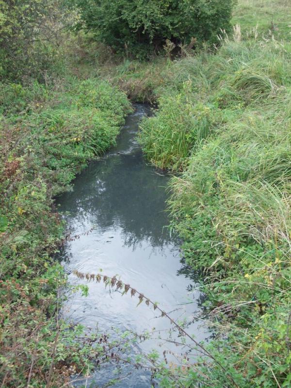 Сокільники з panoramio.com - Сокольники