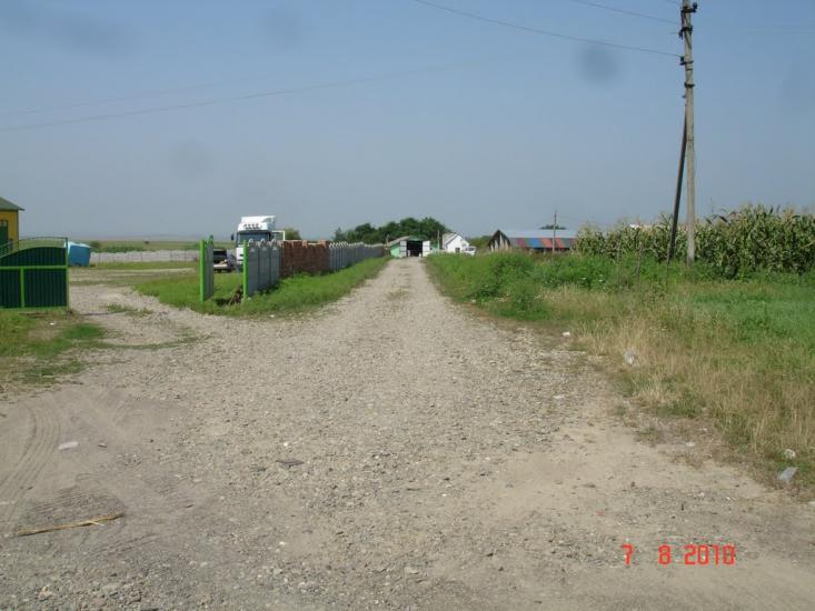 Динівці з panoramio.com - Диновцы