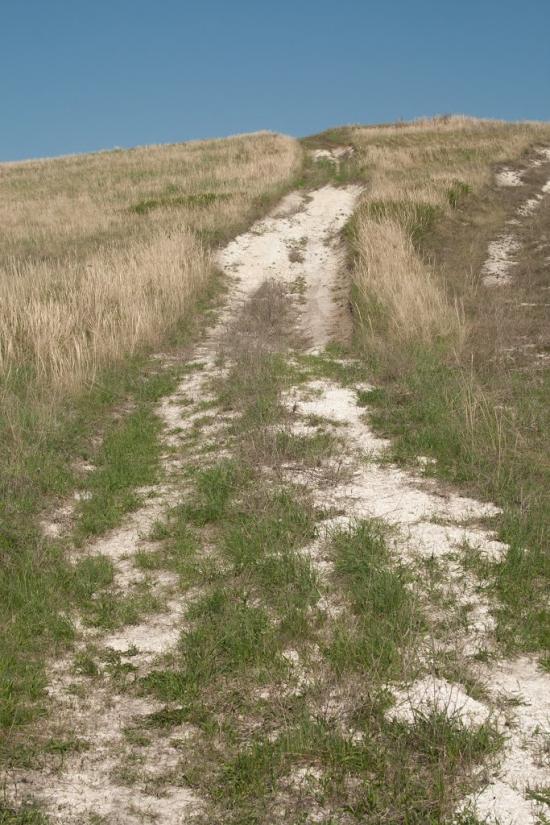 Покровське з panoramio.com - Покровське