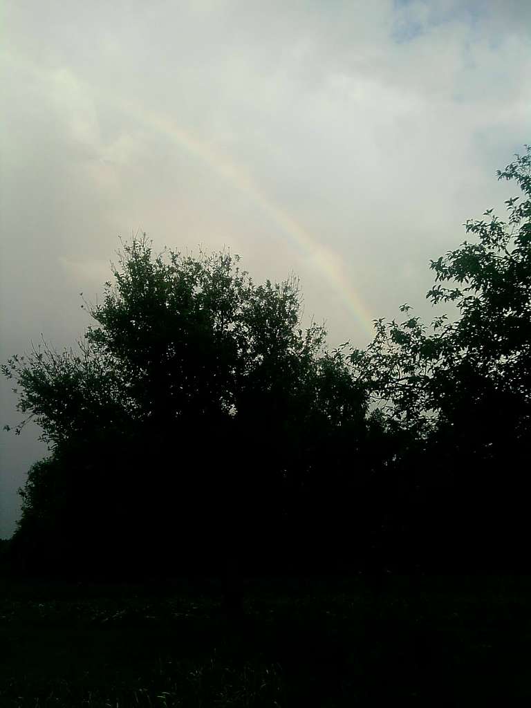 Блистова(фото з інтернету) - Блистова