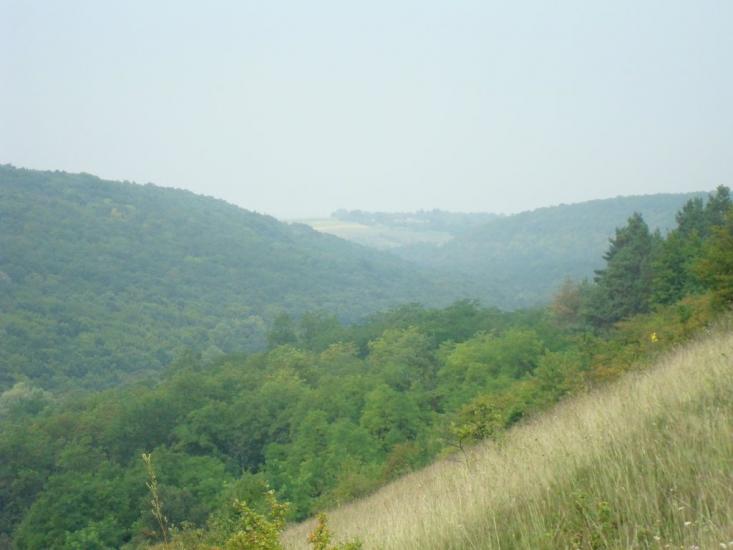 Маціорськ з panoramio.com - Маціорськ