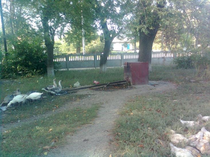 Красіне з panoramio.com - Красіне